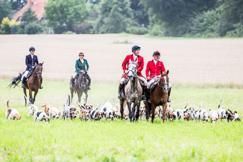 12 - Jagd Steinhorst