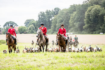 12 - Jagd Steinhorst 12 - Jagd Steinhorst
