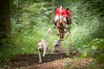 13 - Jagd Schnellenberg