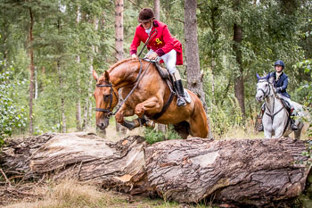 13 - Jagd Schnellenberg