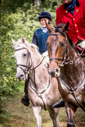 13 - Jagd Schnellenberg