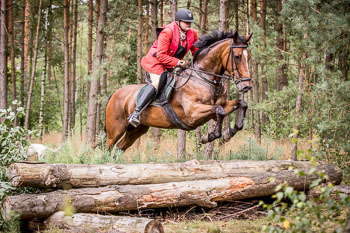 13 - Jagd Schnellenberg