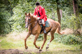 13 - Jagd Schnellenberg