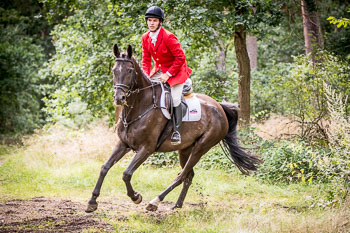 13 - Jagd Schnellenberg