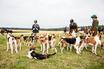 15 - Jugendjagd Marienau 15 - Jugendjagd Marienau