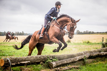 16 - Jagd Dreilingen