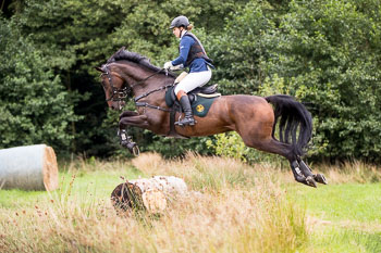 16 - Jagd Dreilingen