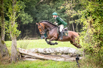 16 - Jagd Dreilingen