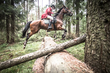 16 - Jagd Dreilingen