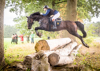 16 - Jagd Dreilingen