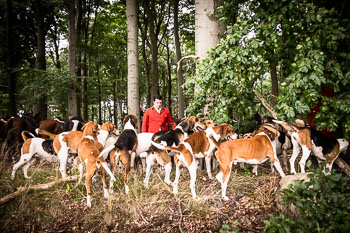 16 - Jagd Dreilingen