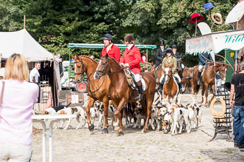 17 - Jugendjagd Basthorst 17 - Jugendjagd Basthorst