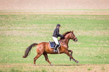 17 - Jugendjagd Basthorst