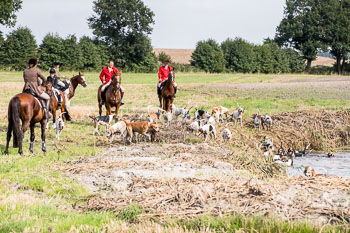 17 - Jugendjagd Basthorst 17 - Jugendjagd Basthorst