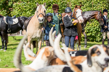 17 - Jugendjagd Basthorst 17 - Jugendjagd Basthorst