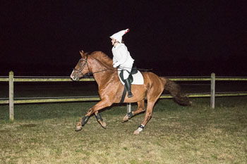 18 - Moonlight-Cup Schnede