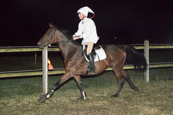 18 - Moonlight-Cup Schnede