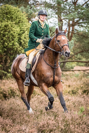 19 - Sko-Jagd Rehrhof