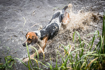 23 - Jagd Isernhagen