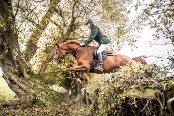 24 - Jagd Thedinghausen