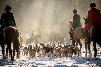 25 - Jagd Hermannsburg