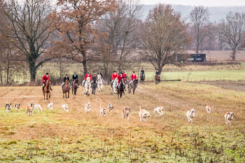 28 - Jagd Toppenstedt