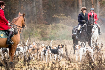 28 - Jagd Toppenstedt