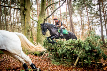 28 - Jagd Toppenstedt