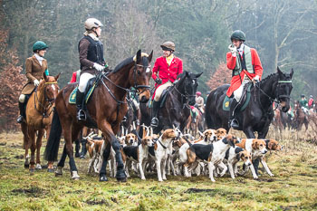 30 - Jagd Wense 30 - Jagd Wense