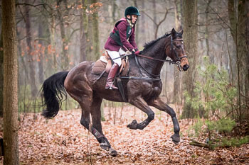 30 - Jagd Wense 30 - Jagd Wense