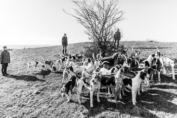 33 - Walking the Hounds 33 - Walking the Hounds
