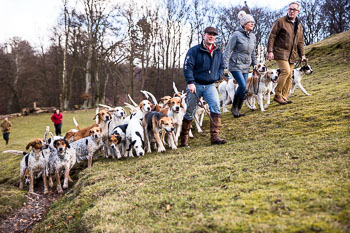 33 - Walking the Hounds 33 - Walking the Hounds