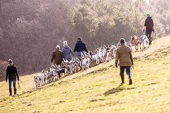 33 - Walking the Hounds 33 - Walking the Hounds