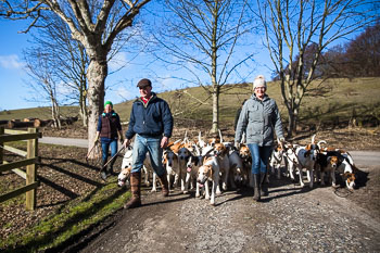 33 - Walking the Hounds