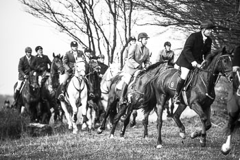 34 - Meutearbeit Møn 