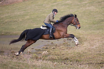 34 - Meutearbeit Møn 