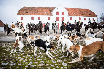 34 - Meutearbeit Møn 34 - Meutearbeit Møn