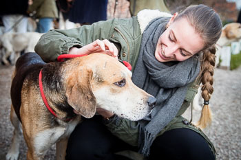 35 - Hounds go to church