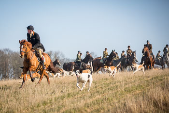 36 - Meutearbeit Møn