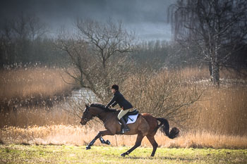 36 - Meutearbeit Møn