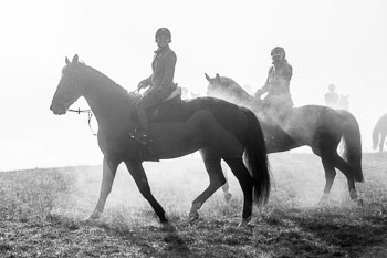 36 - Meutearbeit Møn