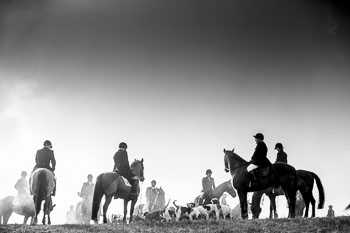 36 - Meutearbeit Møn