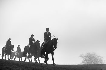 36 - Meutearbeit Møn