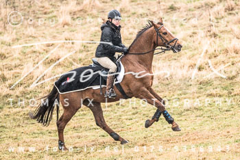 04 - Meutearbeit Møn