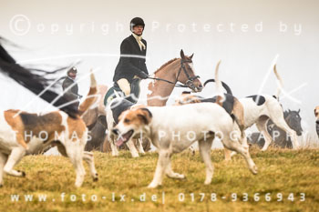 04 - Meutearbeit Møn