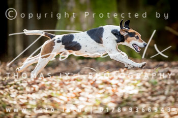 08 - Meutearbeit Uhlenbusch