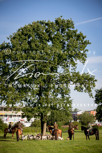 10 - Meutearbeit Horner Rennbahn