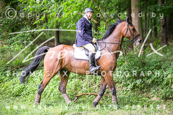 11 - Schleppjagd Steinhorst