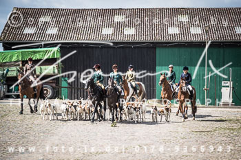 13 - Damenjagd Gut Bsthorst
