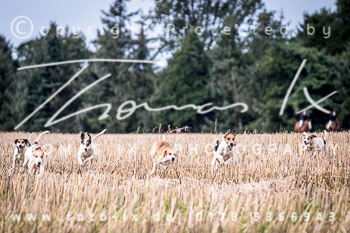 13 - Damenjagd Gut Bsthorst